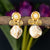 Gold-plated sunflower design earrings with Mother of Pearl drop